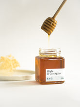 Carica l'immagine nel visualizzatore di Gallery, Miele di Castagno